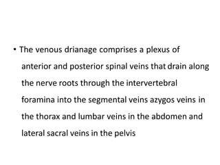 • The venous drianage comprises a plexus of
anterior and posterior spinal veins that drain along
the nerve roots through the intervertebral
foramina into the segmental veins azygos veins in
the thorax and lumbar veins in the abdomen and
lateral sacral veins in the pelvis
 