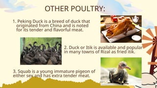 Home Economics Grade 10 The Classes of Poultry | PPTX