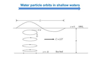 Water particle orbits in shallow waters
 