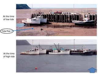 At the time
of high tide
At the time
of low tide
Tidal flat
 