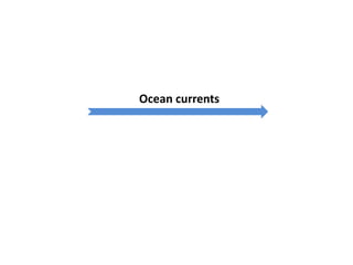 Ocean currents
 