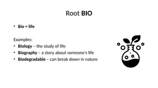 The Roots Bio Questions G4 Q2W4 Phonics ppt.pptx................ | PPTX