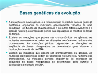 Bases genéticas da evolução
 A mutação cria novos genes, e a recombinação os mistura com os genes já
  existentes, originando os indivíduos geneticamente variados de uma
  população Em função da atuação desses e de outros fatores evolutivos ( a
  seleção natural ), a composição gênica das populações se modifica ao longo
  do tempo.
 Existem as mutações que podem ser cromossômicas ou gênicas. As
  mutações cromossômicas podem ser alterações no número ou na forma dos
  cromossomos. As mutações gênicas originam-se de alterações na
  seqüência de bases nitrogenadas de determinado gene durante a
  duplicação da molécula de DNA.
 Existem as mutações que podem ser cromossômicas ou gênicas. As
  mutações cromossômicas podem ser alterações no número ou na forma dos
  cromossomos. As mutações gênicas originam-se de alterações na
  seqüência de bases nitrogenadas de determinado gene durante a
  duplicação da molécula de DNA
 