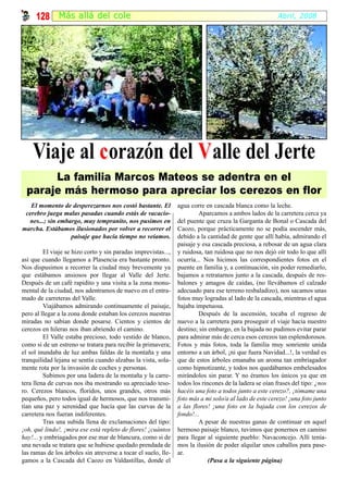 128 Más al lá del cole                                                                              Abril, 2008




    Viaje al c orazón del V alle del Jerte
       La familia Marcos Mateos se adentra en el
  paraje más hermoso para apreciar los cerezos en flor
   El momento de desperezarnos nos costó bastante. El           agua corre en cascada blanca como la leche.
 cerebro juega malas pasadas cuando estás de vacacio-                    Aparcamos a ambos lados de la carretera cerca ya
  nes...; sin embargo, muy tempranito, nos pusimos en           del puente que cruza la Garganta de Bonal o Cascada del
marcha. Estábamos ilusionados por volver a recorrer el          Caozo, porque prácticamente no se podía ascender más,
                  paisaje que hacía tiempo no veíamos.          debido a la cantidad de gente que allí había, admirando el
                                                                paisaje y esa cascada preciosa, a rebosar de un agua clara
         El viaje se hizo corto y sin paradas imprevistas...,   y ruidosa, tan ruidosa que no nos dejó oír todo lo que allí
así que cuando llegamos a Plasencia era bastante pronto.        ocurría... Nos hicimos las correspondientes fotos en el
Nos dispusimos a recorrer la ciudad muy brevemente ya           puente en familia y, a continuación, sin poder remediarlo,
que estábamos ansiosos por llegar al Valle del Jerte.           bajamos a retratarnos junto a la cascada, después de res-
Después de un café rapidito y una visita a la zona monu-        balones y amagos de caídas, (no llevábamos el calzado
mental de la ciudad, nos adentramos de nuevo en el entra-       adecuado para ese terreno resbaladizo), nos sacamos unas
mado de carreteras del Valle.                                   fotos muy logradas al lado de la cascada, mientras el agua
         Viajábamos admirando continuamente el paisaje,         bajaba impetuosa.
pero al llegar a la zona donde estaban los cerezos nuestras              Después de la ascensión, tocaba el regreso de
miradas no sabían donde posarse. Cientos y cientos de           nuevo a la carretera para proseguir el viaje hacia nuestro
cerezos en hileras nos iban abriendo el camino.                 destino; sin embargo, en la bajada no pudimos evitar parar
         El Valle estaba precioso, todo vestido de blanco,      para admirar más de cerca esos cerezos tan esplendorosos.
como si de un estreno se tratara para recibir la primavera;     Fotos y más fotos, toda la familia muy sonriente unida
el sol inundaba de luz ambas faldas de la montaña y una         entorno a un árbol, ¡ni que fuera Navidad...!, la verdad es
tranquilidad lejana se sentía cuando alzabas la vista, sola-    que de estos árboles emanaba un aroma tan embriagador
mente rota por la invasión de coches y personas.                como hipnotizante, y todos nos quedábamos embelesados
         Subimos por una ladera de la montaña y la carre-       mirándolos sin parar. Y no éramos los únicos ya que en
tera llena de curvas nos iba mostrando su apreciado teso-       todos los rincones de la ladera se oían frases del tipo: ¿nos
ro. Cerezos blancos, floridos, unos grandes, otros más          hacéis una foto a todos junto a este cerezo?, ¡tómame una
pequeños, pero todos igual de hermosos, que nos transmi-        foto más a mi solo/a al lado de este cerezo! ¡una foto junto
tían una paz y serenidad que hacía que las curvas de la         a las flores! ¡una foto en la bajada con los cerezos de
carretera nos fueran indiferentes.                              fondo!...
         Tras una subida llena de exclamaciones del tipo:                A pesar de nuestras ganas de continuar en aquel
¡oh, qué lindo!, ¡mira ese está repleto de flores! ¡cuántos     hermoso paisaje blanco, tuvimos que ponernos en camino
hay!... y embriagados por ese mar de blancura, como si de       para llegar al siguiente pueblo: Navaconcejo. Allí tenía-
una nevada se tratara que se hubiese quedado prendada de        mos la ilusión de poder alquilar unos caballos para pase-
las ramas de los árboles sin atreverse a tocar el suelo, lle-   ar.
gamos a la Cascada del Caozo en Valdastillas, donde el                       (Pasa a la siguiente página)
 