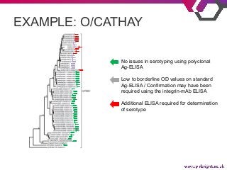 EXAMPLE: O/CATHAY
%
No issues in serotyping using polyclonal
Ag-ELISA
Low to borderline OD values on standard
Ag-ELISA / C...