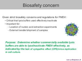 Given strict biosafety concerns and regulations for FMDV:
•  Critical that lysis buffers used effectively inactivate
•  Im...