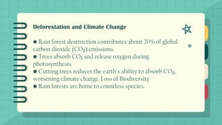 Deforestation and Climate Change
• Rain forest destruction contributes about 20% of global
carbon dioxide (CO ) emissions.
₂
• Trees absorb CO and release oxygen during
₂
photosynthesis.
• Cutting trees reduces the earth's ability to absorb CO ,
₂
worsening climate change. Loss of Biodiversity
• Rain forests are home to countless species.
 