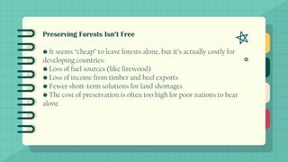 Preserving Forests Isn’t Free
• It seems “cheap” to leave forests alone, but it’s actually costly for
developing countries:
• Loss of fuel sources (like firewood)
• Loss of income from timber and beef exports
• Fewer short-term solutions for land shortages
• The cost of preservation is often too high for poor nations to bear
alone.
 