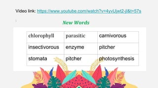 New Words
Video link: https://www.youtube.com/watch?v=4yvUjwt2-jI&t=57s
:
chlorophyll parasitic carnivorous
insectivorous enzyme pitcher
stomata pitcher photosynthesis
 