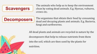 The animals who help us to keep the environment
clean by eating dead animals. E.g. Hyenas, vultures,
crows etc.
The organisms that obtain their food by consuming
dead and decaying plants and animals. E.g. Bacteria,
fungi and earthworms.
All dead plants and animals are recycled in nature by the
decomposers that help to release nutrients from them
into the soil, which are then used by the plants for
nutrition.
 