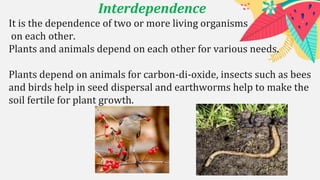 Interdependence
It is the dependence of two or more living organisms
on each other.
Plants and animals depend on each other for various needs.
Plants depend on animals for carbon-di-oxide, insects such as bees
and birds help in seed dispersal and earthworms help to make the
soil fertile for plant growth.
 