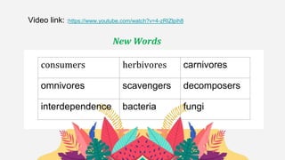 New Words
Video link: :https://www.youtube.com/watch?v=4-zRIZlpih8
consumers herbivores carnivores
omnivores scavengers decomposers
interdependence bacteria fungi
 