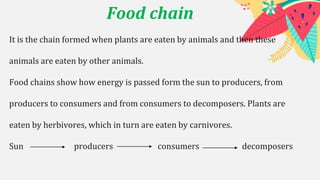 Food chain
It is the chain formed when plants are eaten by animals and then these
animals are eaten by other animals.
Food chains show how energy is passed form the sun to producers, from
producers to consumers and from consumers to decomposers. Plants are
eaten by herbivores, which in turn are eaten by carnivores.
Sun producers consumers decomposers
 
