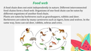 Food web
A food chain does not exist independently in nature. Different interconnected
food chains form a food web. Organisms of one food chain can be eaten by
different organisms of another food chain.
Plants are eaten by herbivores such as grasshoppers, rabbits and deer.
Herbivores are eaten by many carnivores such as tigers, lions and wolves. In the
same way, lions can eat deer, rabbits, zebras and cows.
 
