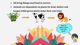  All living things need food to survive.
 Animals are dependent on plants for food, shelter and
oxygen while green plants make their own food.
How do
plants make
their own
food?
 
