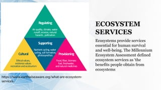 Freshwater Resources and their Ecosystem Services.pptx