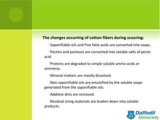 The changes occurring of cotton fibers during scouring:
Saponifiable oils and free fatty acids are converted into soaps.
Pectins and pectoses are converted into soluble salts of pectic
acid.
Proteins are degraded to simple soluble amino acids or
ammonia.
Mineral matters are mostly dissolved.
Non-saponifiable oils are emulsified by the soluble soaps
generated from the saponifiable oils.
Additive dirts are removed.
Residual sizing materials are broken down into soluble
products.
 