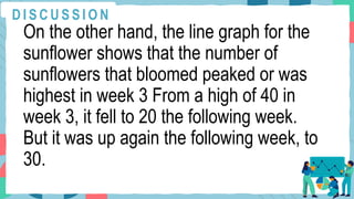 On the other hand, the line graph for the
sunflower shows that the number of
sunflowers that bloomed peaked or was
highest in week 3 From a high of 40 in
week 3, it fell to 20 the following week.
But it was up again the following week, to
30.
D I S C U S S I O N
 