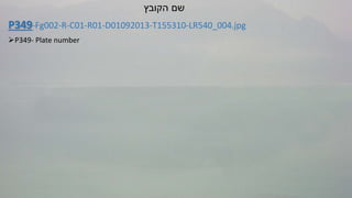 ‫הקובץ‬ ‫שם‬
P349-Fg002-R-C01-R01-D01092013-T155310-LR540_004.jpg
P349- Plate number
Fg002- Fragment number according to...