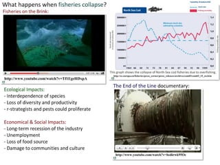 G5: Population Ecology (HL) | PDF
