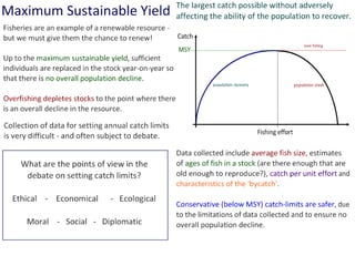 G5: Population Ecology (HL) | PDF