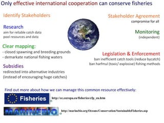G5: Population Ecology (HL) | PDF
