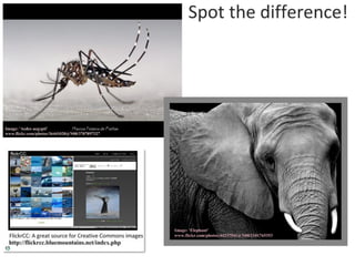 G5: Population Ecology (HL) | PDF