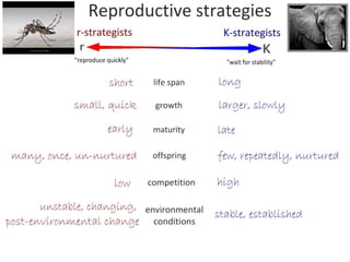 G5: Population Ecology (HL) | PDF