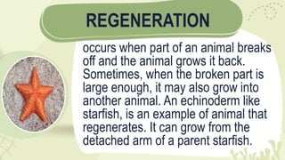 grade 5 quarter 2 WEEK 4 SCIENCE PPT (1).pptx
