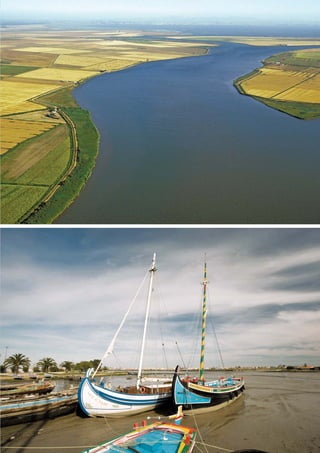 PAG_107-168_POE_TEJO:POE TEJO 1/11/10 5:25 PM Page 167
 