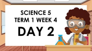 SCIENCE 5
TERM 1 WEEK 4
DAY 2
 