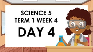 SCIENCE 5
TERM 1 WEEK 4
DAY 4
 