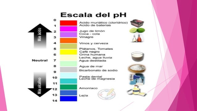 Imagen relacionada