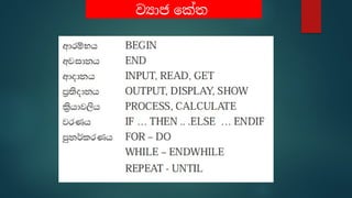 Grade lesson six scratch programming for beginners | PPTX