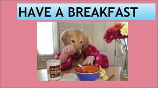 HAVE A BREAKFAST
 