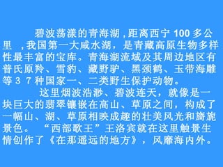 碧波荡漾的青海湖 , 距离西宁 100 多公里  , 我国第一大咸水湖，是青藏高原生物多样性最丰富的宝库。青海湖流域及其周边地区有普氏原羚、雪豹、藏野驴、黑颈鹤、玉带海雕等３７种国家一、二类野生保护动物。  这里烟波浩渺、碧波连天，就像是一块巨大的翡翠镶嵌在高山、草原之间，构成了一幅山、湖、草原相映成趣的壮美风光和旖旎景色。 “西部歌王”王洛宾就在这里触景生情创作了《在那遥远的地方》，风靡海内外。  