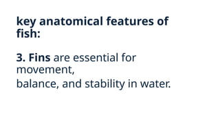 key anatomical features of
fish:
3. Fins are essential for
movement,
balance, and stability in water.
 
