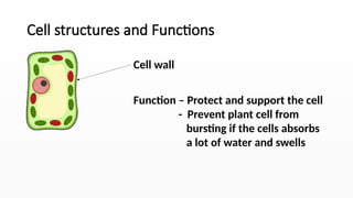 Support Function Cell Cell Structure and its componenetts.pptx