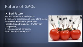 Future of GMOs
● Bad Future :
1- Can cause cancer and tumors.
2- Complete eradication of some plant species
3- massive amounts of pesticides,
herbicides and fungicides ( which can
kill people ).
4- Environmental Concerns.
5- Human Health Concerns.
 