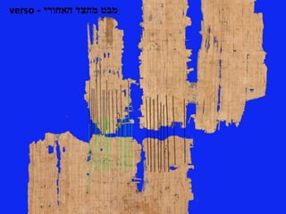 ‫האחורי‬ ‫מהצד‬ ‫מבט‬-verso
 