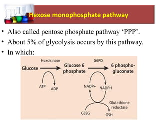 g6pd glutathione Glucose-6-Phosphate Dehydrogenase Deficiency