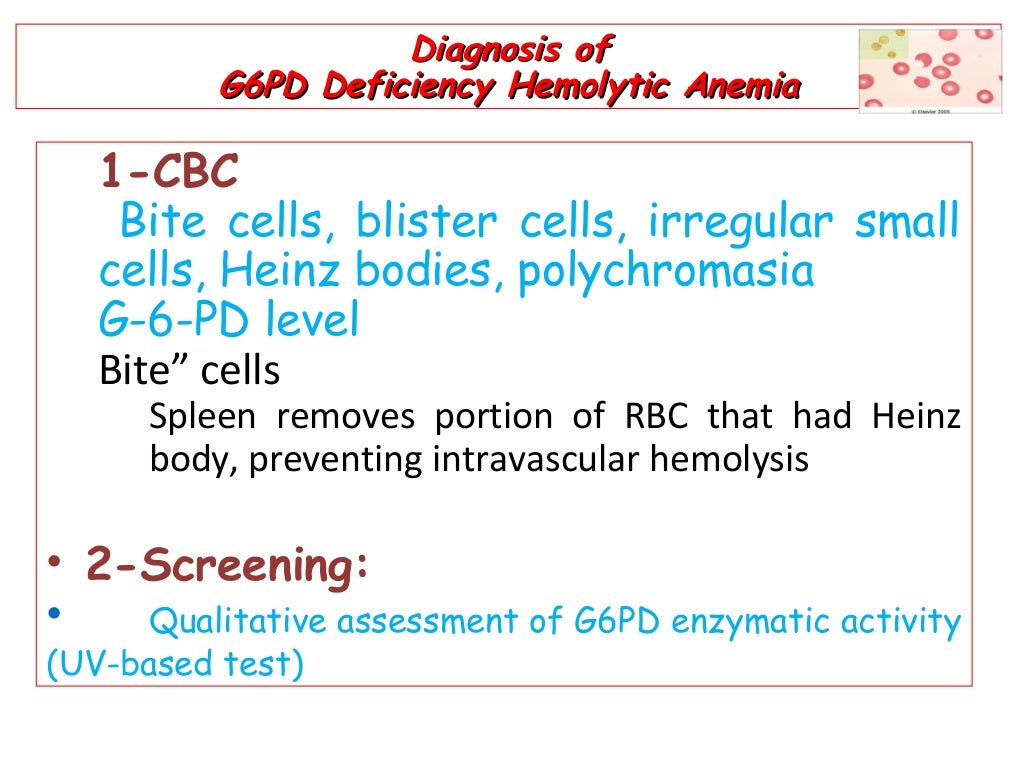 G6PD Deficiency Anaemai