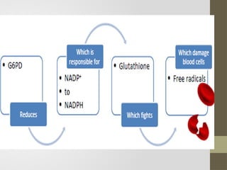 Glucose 6 phosphate dehydrogenase enzymes deficiency Anemia SEM5.pptx