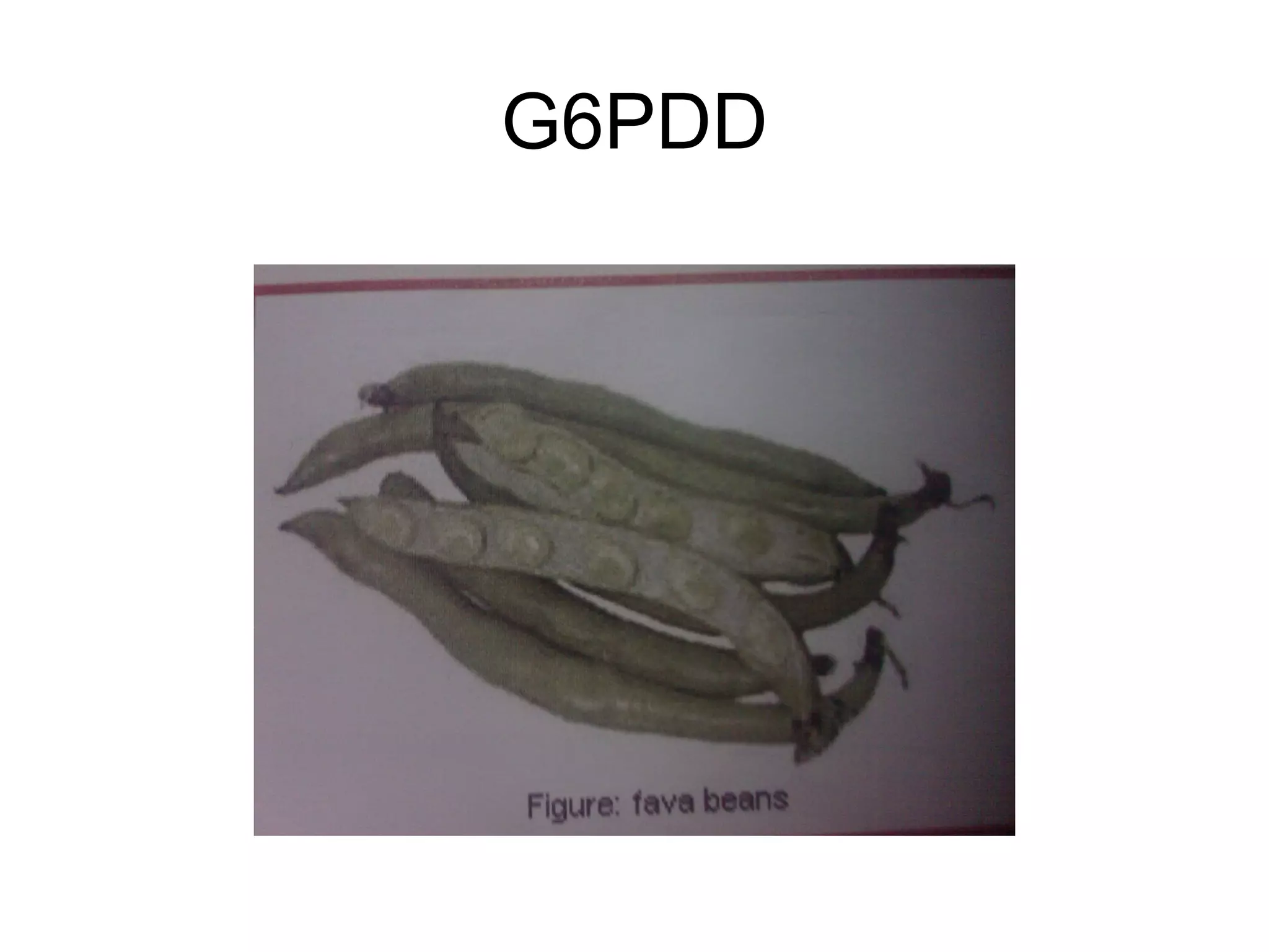 G6PDD
 