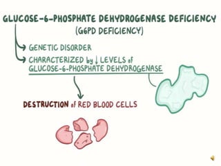 Glucose 6 phosphate dehydrgenase deficiency syndrome | PPTX