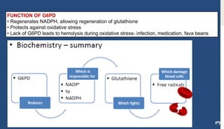 3
FUNCTION OF G6PD
• Regenerates NADPH, allowing regeneration of glutathione
• Protects against oxidative stress
• Lack of G6PD leads to hemolysis during oxidative stress- infection, medication, fava beans
 
