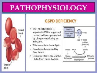Powerpoint presentation for glucose 6 phosphate dehydrogenase ...