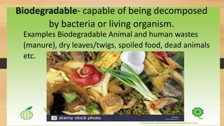 Biodegradable- capable of being decomposed
by bacteria or living organism.
Examples Biodegradable Animal and human wastes
(manure), dry leaves/twigs, spoiled food, dead animals
etc.
 