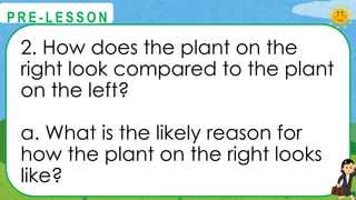 2. How does the plant on the
right look compared to the plant
on the left?
a. What is the likely reason for
how the plant on the right looks
like?
@
@
P R E - L E S S O N
 