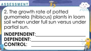 2. The growth rate of potted
gumamela (hibiscus) plants in loam
soil when under full sun versus under
partial sun.
INDEPENDENT:_____________________
DEPENDENT:_______________________
CONTROL: _______________________
@
@
A S S E S S M E N T
 
